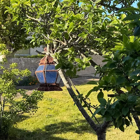 Maison Semi Individuelle Avec Jardin